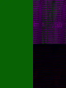 xneko  online show from December 22, 4:34 am