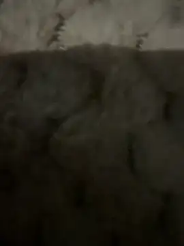 Snapshot of anonimgirl18old chatting on February 9, 6:50 pm anonimgirl18old online show from February 9, 6:50 pm