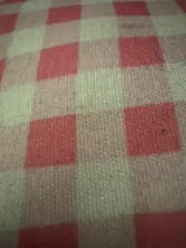 Snapshot of anonimgirl18old chatting on October 29, 5:01 pm anonimgirl18old online show from October 29, 5:01 pm