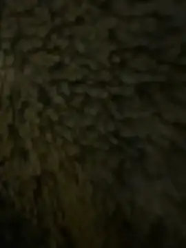 Snapshot of anonimgirl18old chatting on February 21, 6:32 pm anonimgirl18old online show from February 21, 6:32 pm