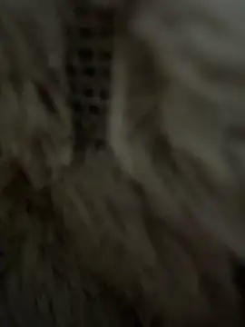 Snapshot of anonimgirl18old chatting on February 25, 8:36 am anonimgirl18old online show from February 25, 8:36 am