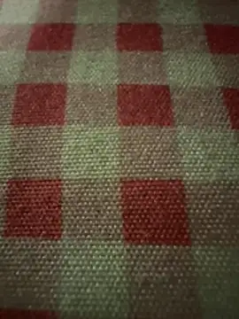 Snapshot of anonimgirl18old chatting on November 24, 3:56 pm anonimgirl18old online show from November 24, 3:56 pm