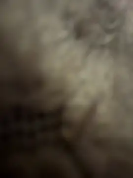 Snapshot of anonimgirl18old chatting on February 3, 8:58 pm anonimgirl18old online show from February 3, 8:58 pm