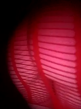 Hottiesophie online show from March 24, 12:54 am