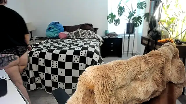 Alix Valentine online show from November 7, 6:01 pm