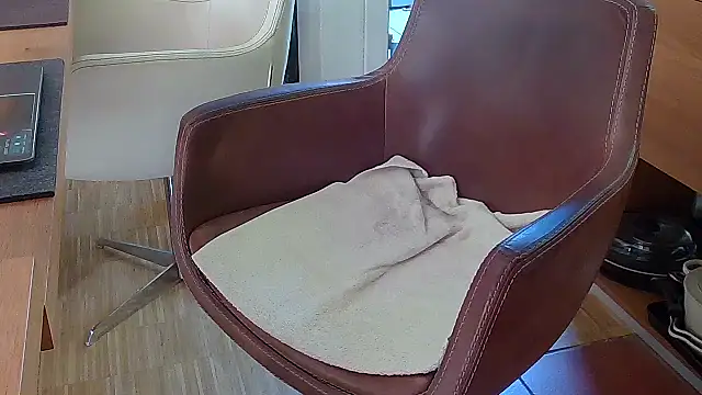 Unique X perience online show from October 7, 12:06 pm