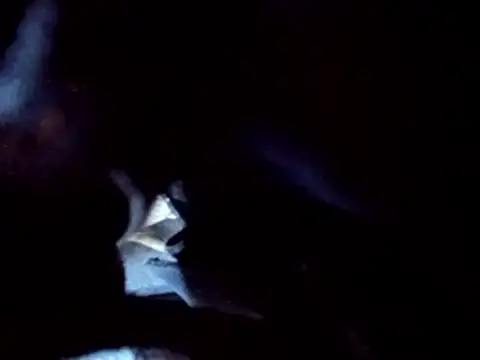 PENTHOUSECEOCLUBHOUSEPRES online show from November 25, 6:41 pm