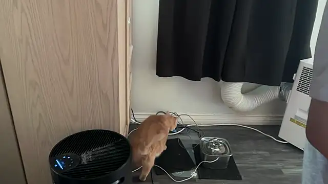 kSwisssxxx online show from November 6, 10:47 pm