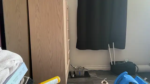 kSwisssxxx online show from December 4, 10:20 pm