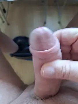 minnetird online show from February 18, 2:57 pm