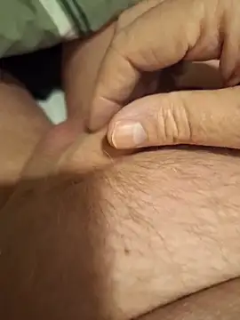 minnetird online show from April 4, 12:28 am