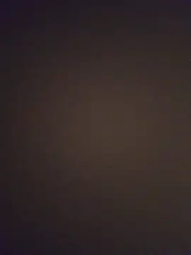 minnetird online show from March 25, 4:01 am