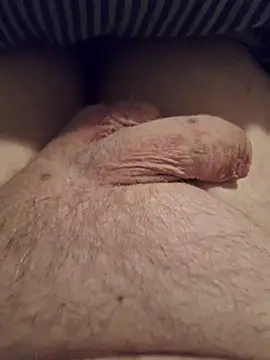 minnetird online show from February 9, 7:06 am