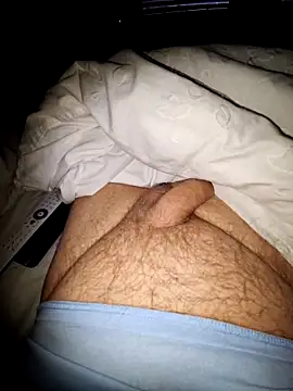 minnetird online show from October 11, 6:14 am