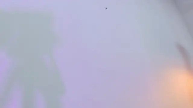 eimy skinny  online show from February 12, 12:49 pm