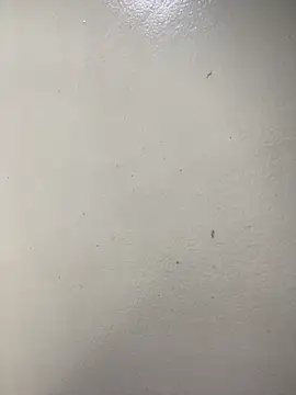 Issa Santana online show from February 21, 7:16 pm