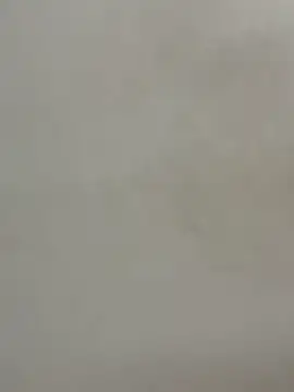 Cute-Sakhi online show from December 15, 2:01 pm