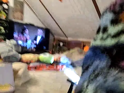 thejuicybacon online show from November 25, 11:10 am