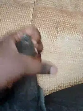 Saikishore00000 online show from September 15, 8:26 am