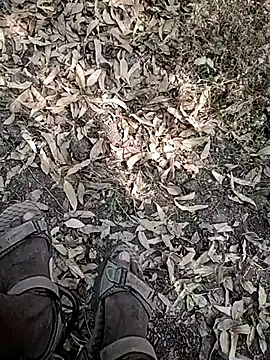 Telugu person12 online show from January 7, 8:52 am