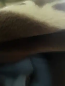 Telugu person12 online show from December 15, 12:00 pm