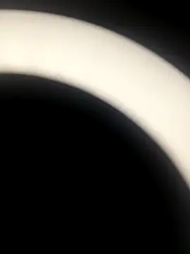 sapna 2121 online show from November 19, 7:08 am