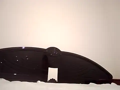 straightozgoesdwn online show from February 8, 8:17 pm