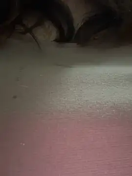 Dior 521 online show from October 25, 12:28 pm