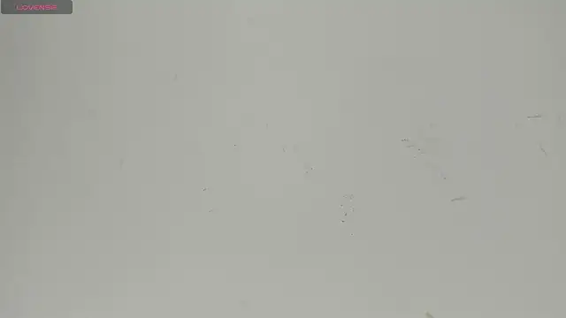 Sophia Ebony online show from June 22, 12:24 pm