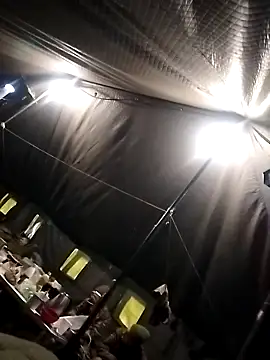 Odecca11 online show from February 9, 10:35 am