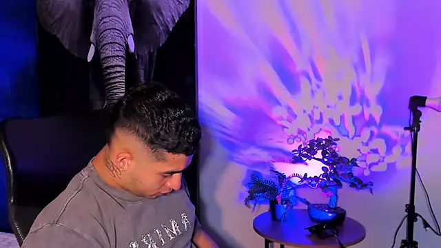 king falconer online show from November 10, 12:48 am