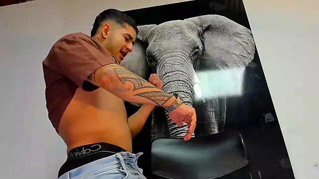 king falconer online show from October 29, 2:54 am