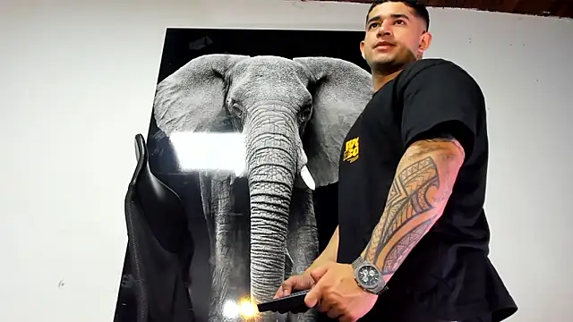 king falconer online show from October 31, 2:08 am