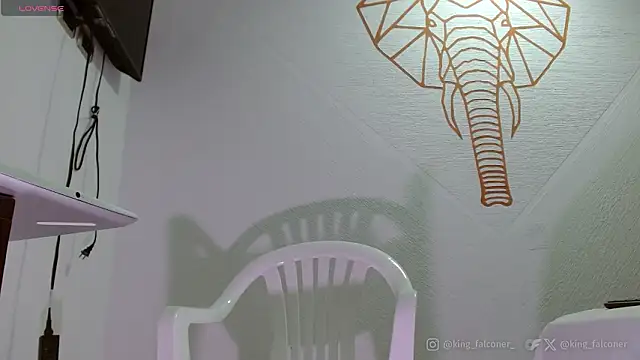 king falconer online show from February 21, 5:04 pm