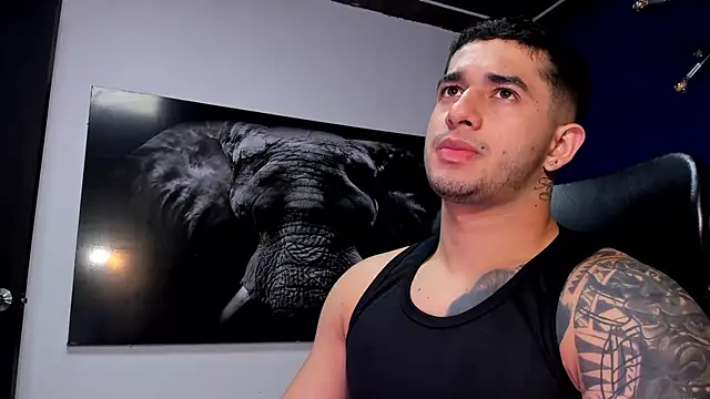 king falconer online show from December 16, 12:48 am