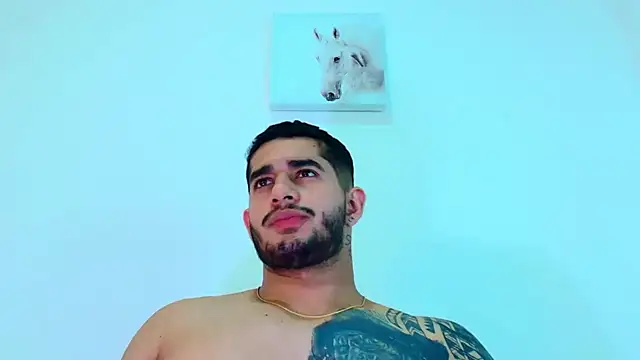 king falconer online show from February 4, 9:15 am