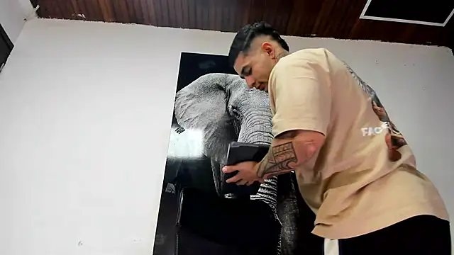 king falconer online show from October 25, 3:49 am