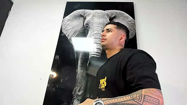 king falconer online show from October 26, 1:39 am