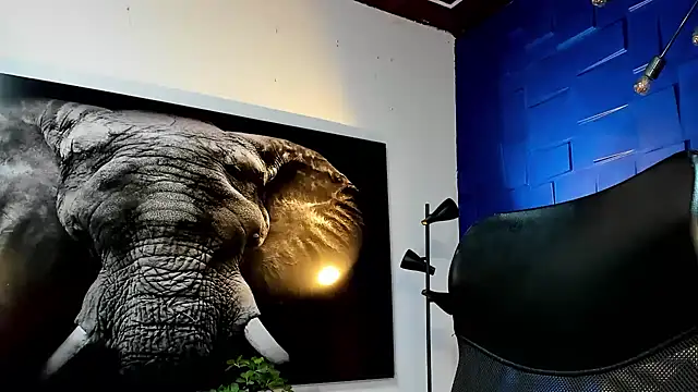 king falconer online show from November 29, 11:16 pm