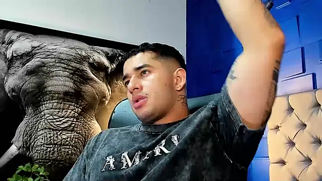 king falconer online show from November 25, 1:28 am