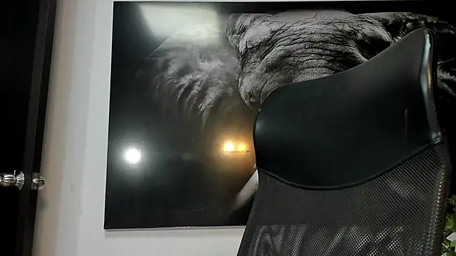 king falconer online show from December 5, 2:10 am