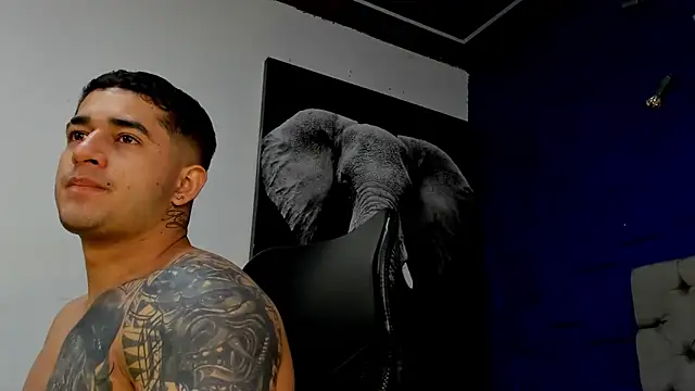 king falconer online show from November 18, 1:32 am