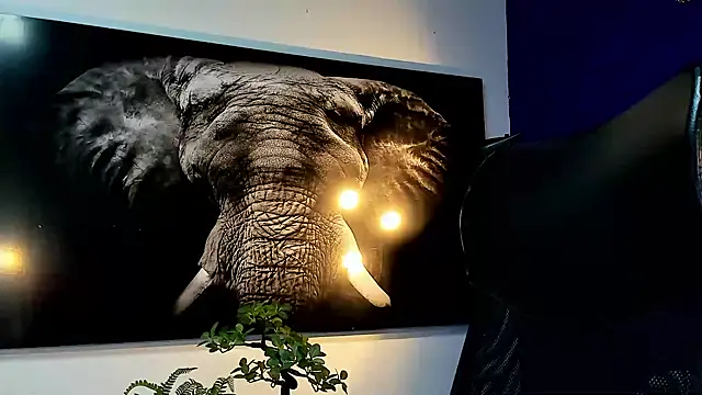 king falconer online show from November 27, 12:55 am