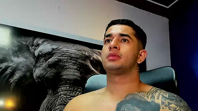 king falconer online show from November 30, 11:22 am