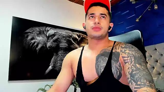 king falconer online show from November 28, 2:12 am