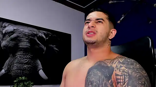 king falconer online show from December 18, 1:11 am