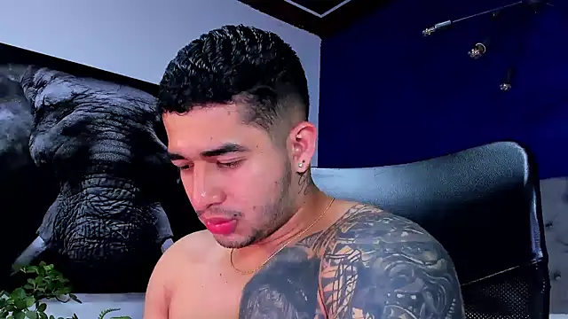 king falconer online show from January 14, 2:15 am