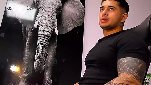 king falconer online show from October 28, 3:18 am