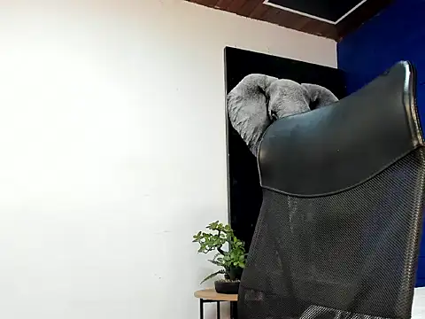 king falconer online show from November 5, 6:05 am