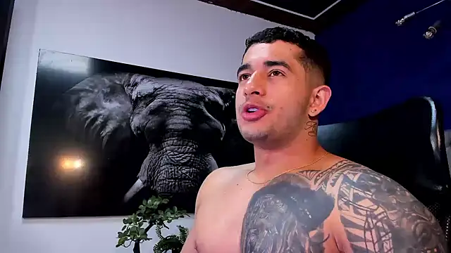 king falconer online show from January 11, 3:46 am